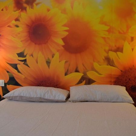 Apartmán El Ramillete Soria Exteriér fotografie